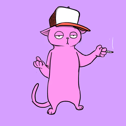 Blazed Cat #3271