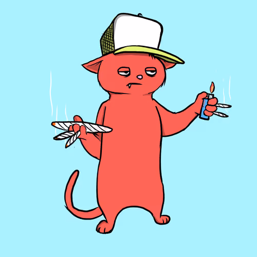 Blazed Cat #7230
