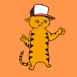 Blazed Cat #4937