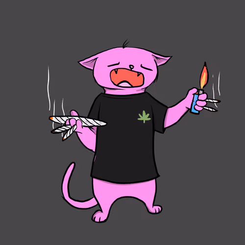 Blazed Cat #9194