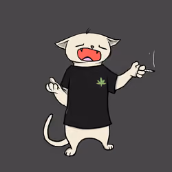 Blazed Cat #9003