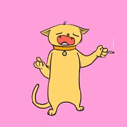 Blazed Cat #1757