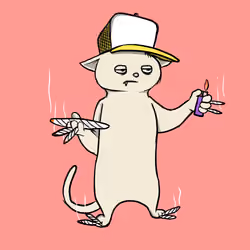Blazed Cat #6585