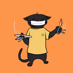 Blazed Cat #6197