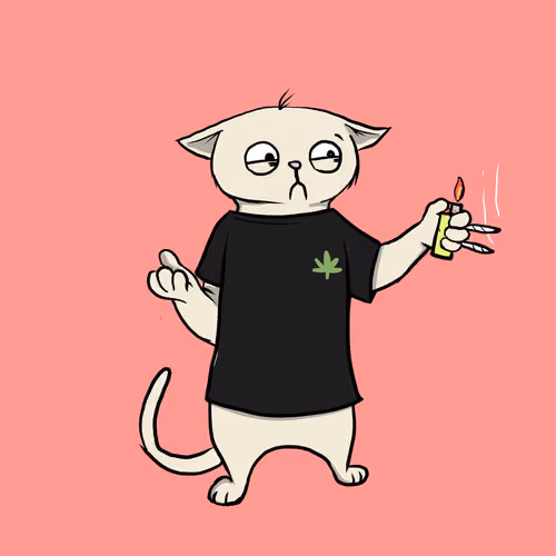 Blazed Cat #2754