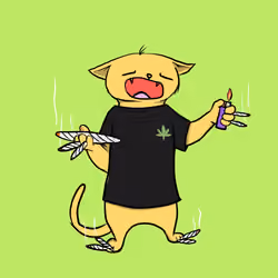 Blazed Cat #9841