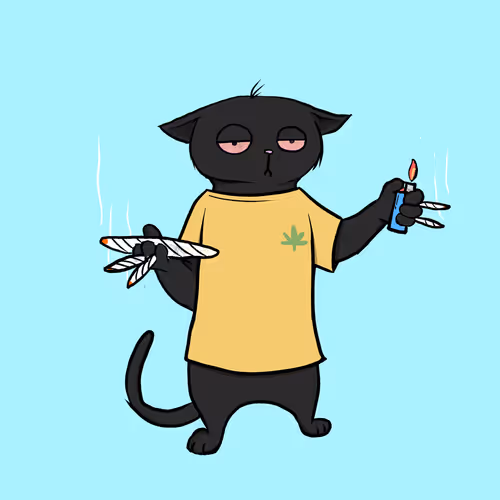 Blazed Cat #1641