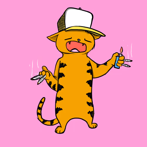 Blazed Cat #2909