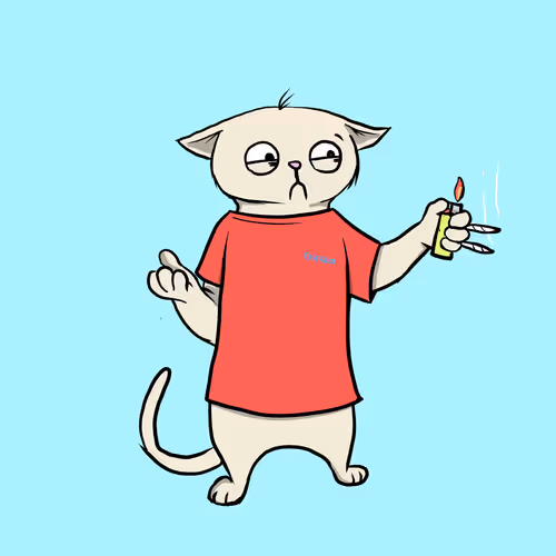 Blazed Cat #2785