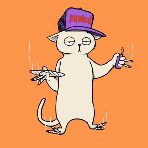 Blazed Cat #664