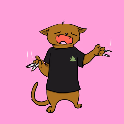Blazed Cat #8088
