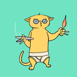 Blazed Cat #1250
