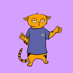 Blazed Cat #876