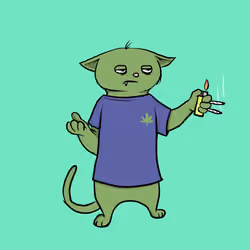Blazed Cat #6373