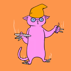 Blazed Cat #4940