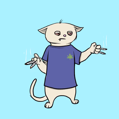 Blazed Cat #548