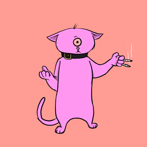 Blazed Cat #5603