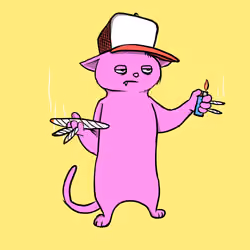 Blazed Cat #7327