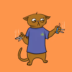 Blazed Cat #7416