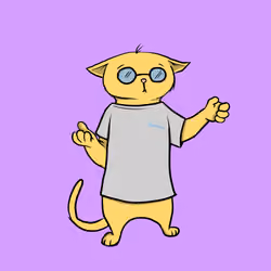Blazed Cat #6404