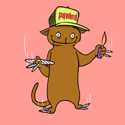 Blazed Cat #7986