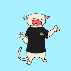 Blazed Cat #6520