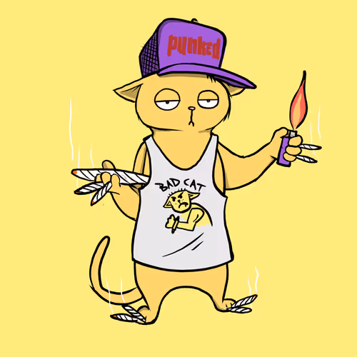 Blazed Cat #4406