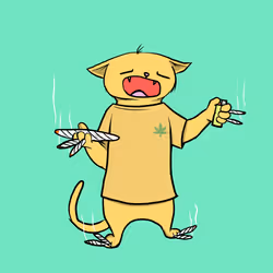Blazed Cat #2510