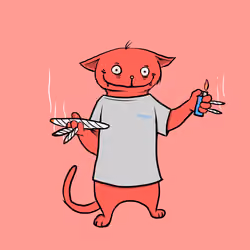 Blazed Cat #2825