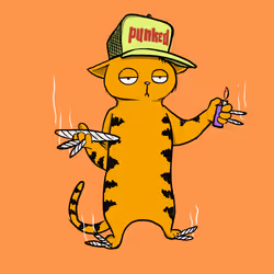 558