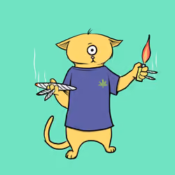 Blazed Cat #4920
