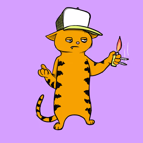 Blazed Cat #6522