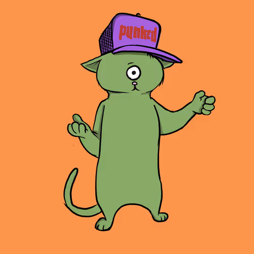 Blazed Cat #31
