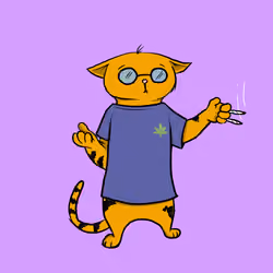 Blazed Cat #111