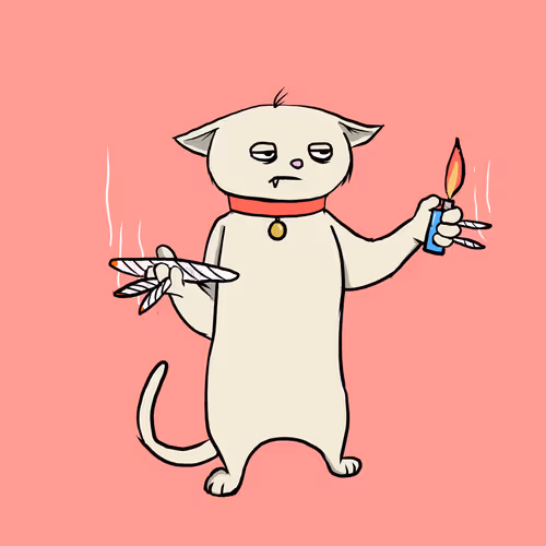 Blazed Cat #244