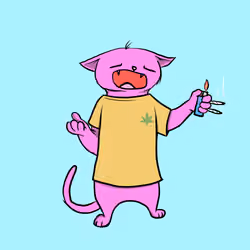 Blazed Cat #2629