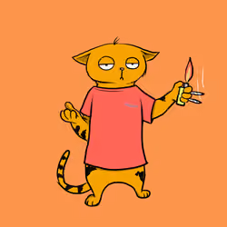 Blazed Cat #4922