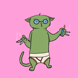 Blazed Cat #4483