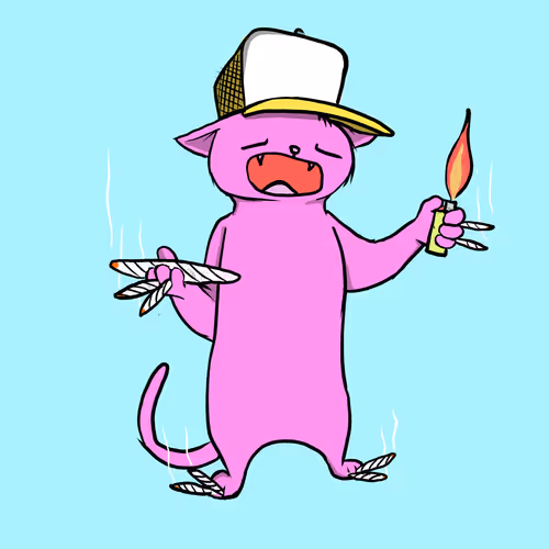 Blazedcats