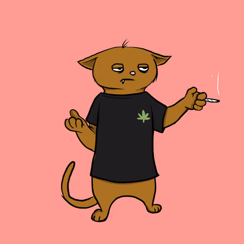 Blazed Cat #9249