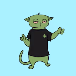 Blazed Cat #4935