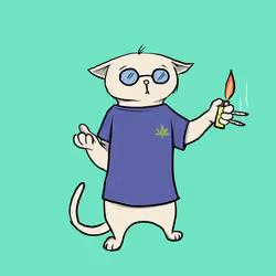 Blazed Cat #8959