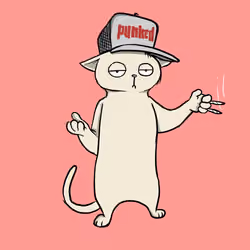 Blazed Cat #1958
