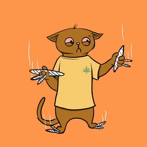 Blazed Cat #15