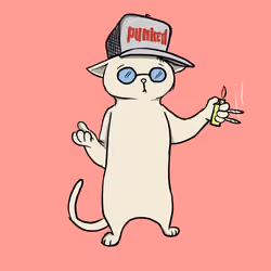 Blazed Cat #1604