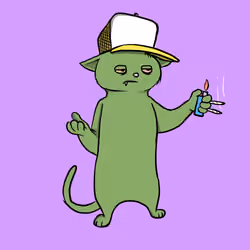 Blazed Cat #2826