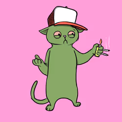 Blazed Cat #6663