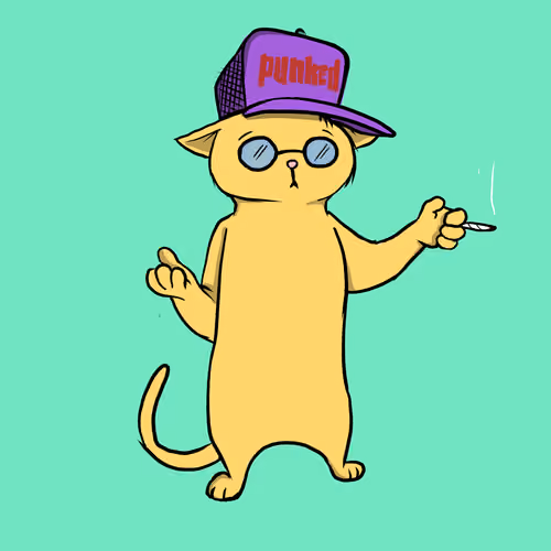 Blazed Cat #1898