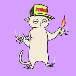Blazed Cat #4716