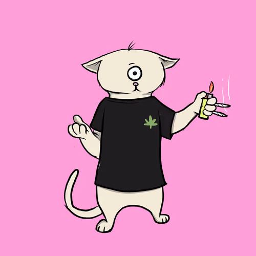 Blazed Cat #2358